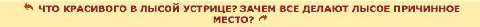 ЧТО КРАСИВОГО В ЛЫСОЙ УСТРИЦЕ? ЗАЧЕМ ВСЕ ДЕЛАЮТ ЛЫСОЕ ПРИЧИННОЕ МЕСТО?