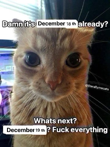 already? Whats next? Fuck everything