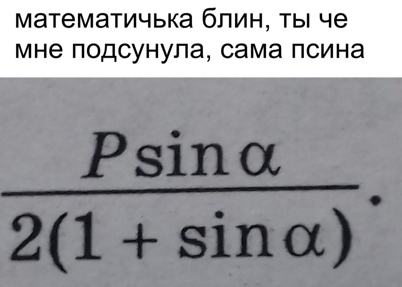 математичька блин, ты че мне подсунула, сама псина