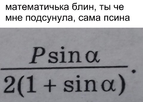 математичька блин, ты че мне подсунула, сама псина