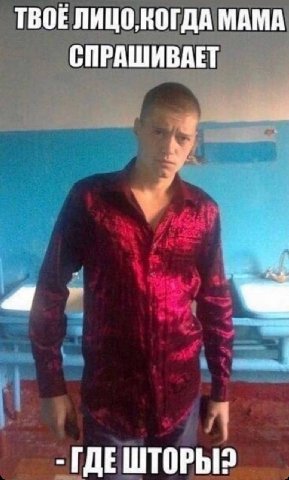 ТВОЕ ЛИЦО, КОГДА МАМА СПРАШИВАЕТ ГДЕШТОРЫ?