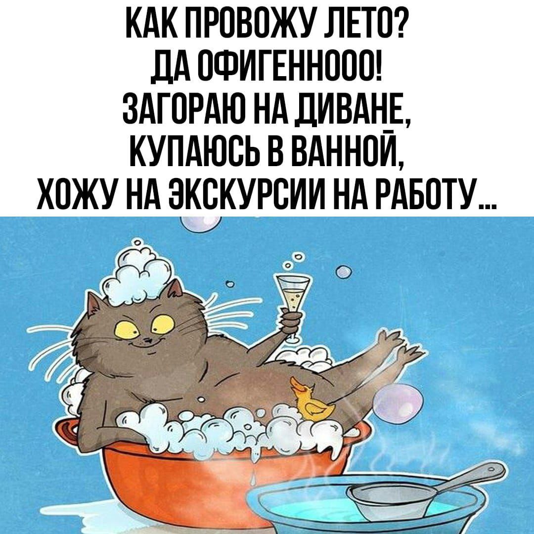 КАК ПРОВОЖУ ЛЕТО? ДАОФИГЕННООО! ЗАГОРАЮ НА ДИВАНЕ, КУПАЮСЬ В ВАННОЙ, ХОЖУ НА ЭКСКУРСИИ НА