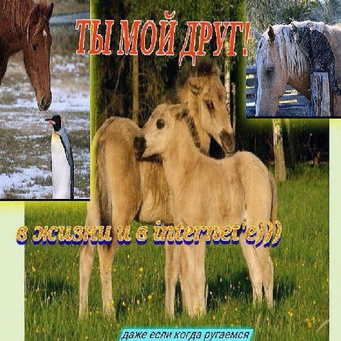 4) Ной i А 4) 4 13 if у 14 и №7 если когда ругаемся