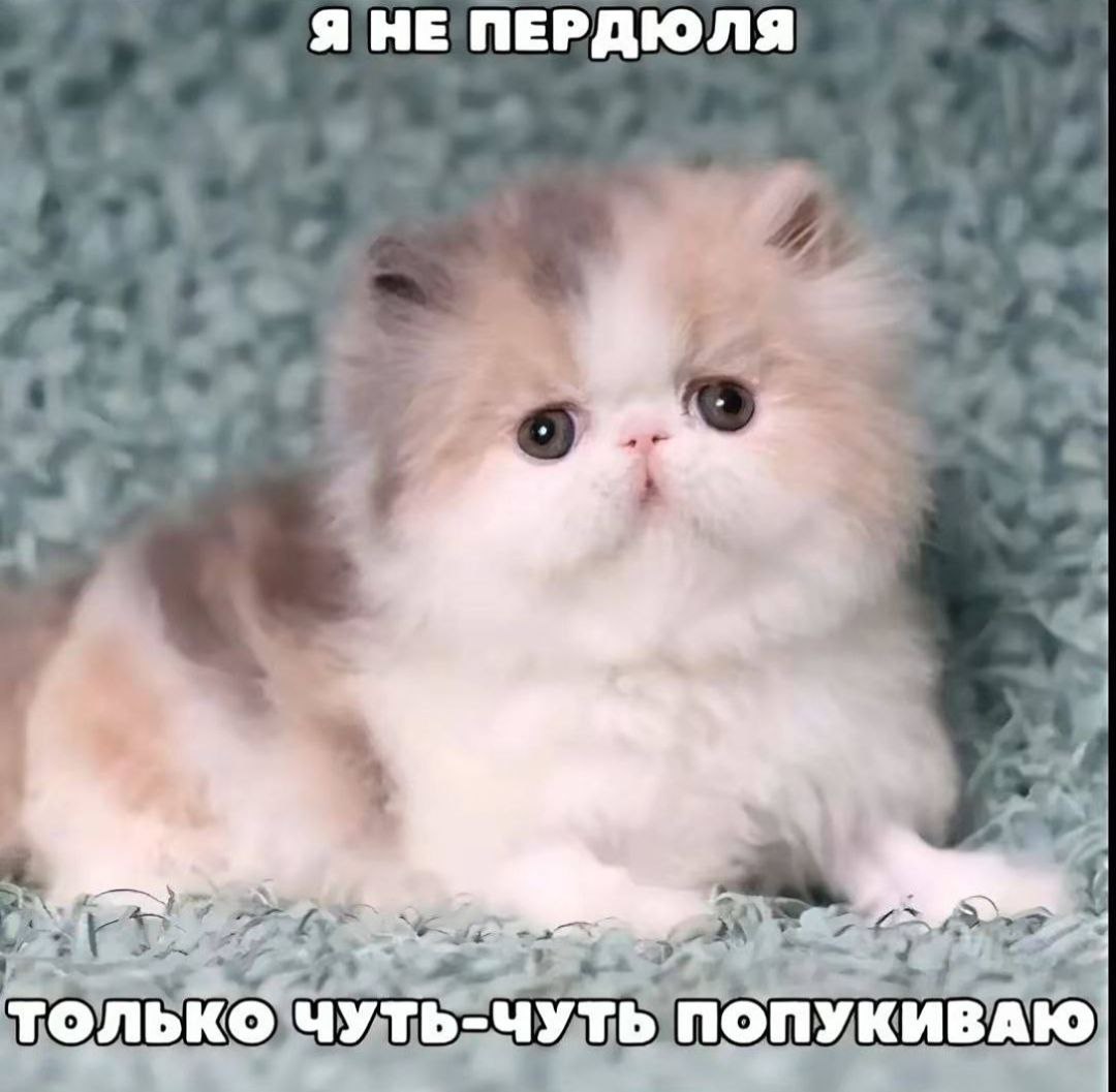 Вы уж ради бога простите пожалуйста