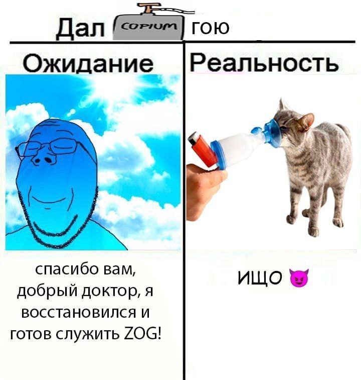 Дал roto Ожидание. Реальность 3) спасибо вам, добрый доктор, я ищо восстановился и готов служить ZOG!