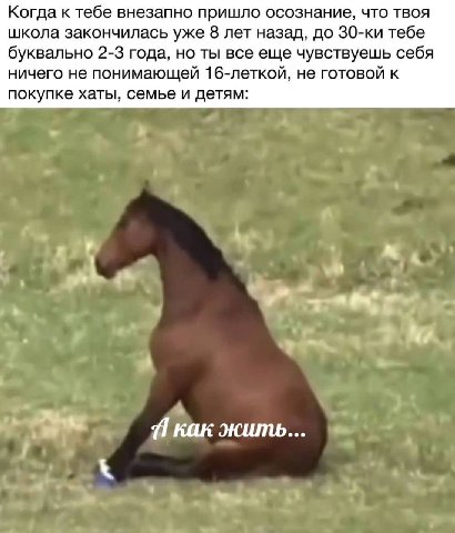 Когда к тебе внезапно пришло осознание, что твоя школа закончилась уже 8 лет назад, до З0-ки тебе буквально 2-3 года, но ты все еще чувствуешь себя ничего не понимающей 16-леткой, не готовой к покупке