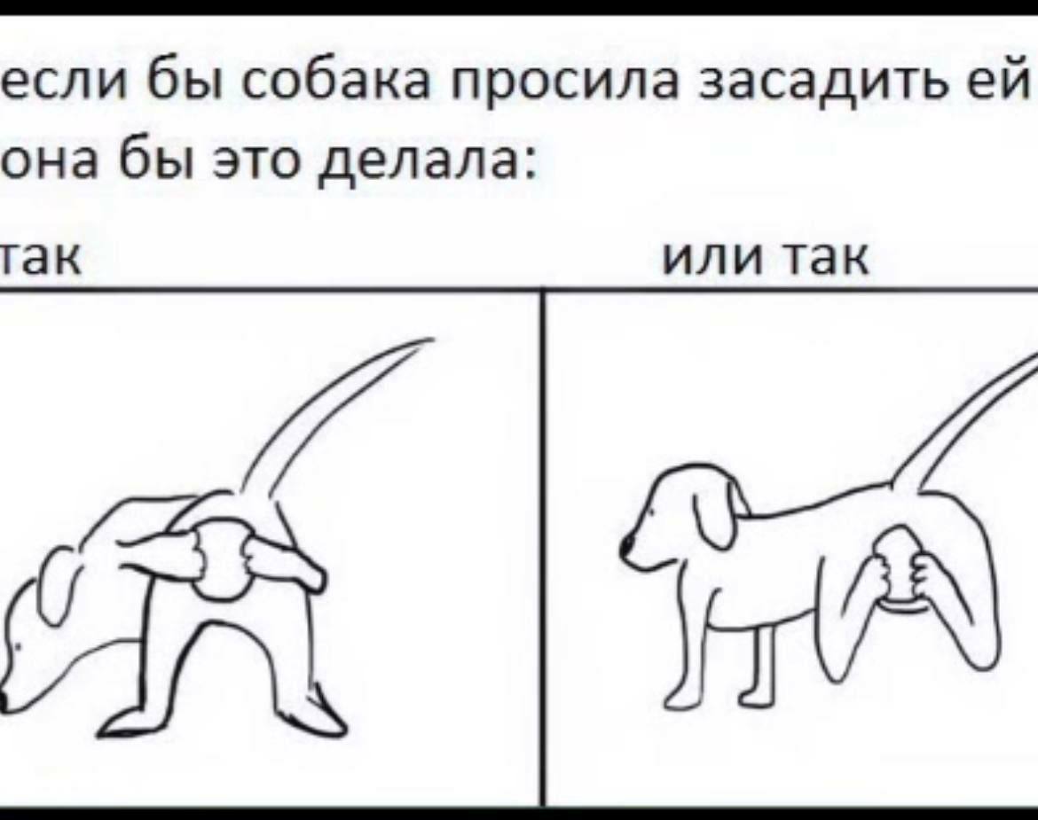 если бы собака просила засадить она бы это делала: гак или так