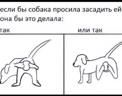 если бы собака просила засадить она бы это делала: гак или так