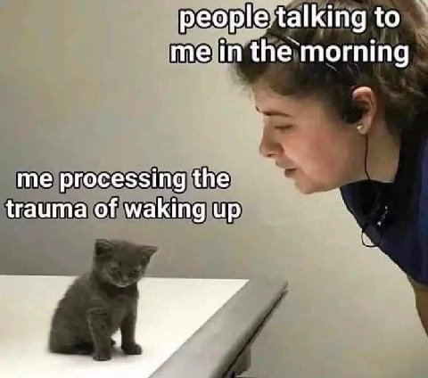 реор!еЯа!Кта to melin the morning me processing the’ trauma of waking up