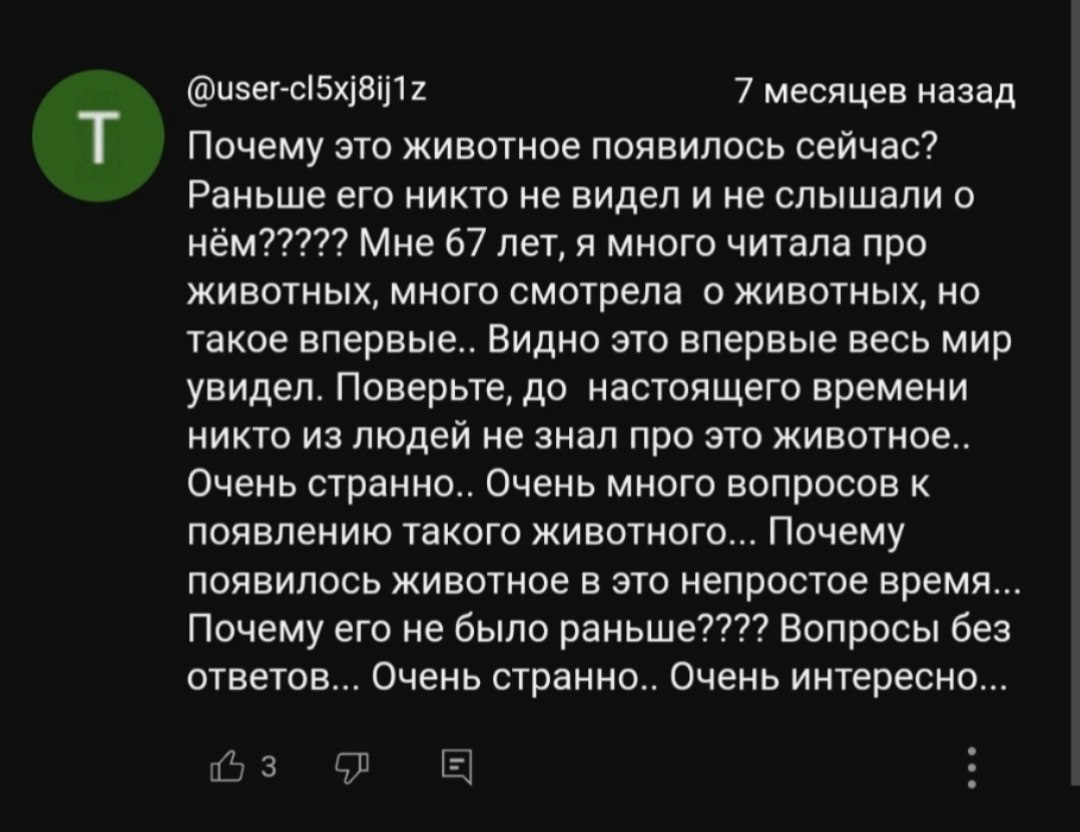@user-cl5xj8ij1z 7 месяцев назад Почему это животное появилось сейчас? Раньше его никто не видел и не слышали о Мне 6/ лет, я много читала про животных, много смотрела о животных, но такое Видно это в