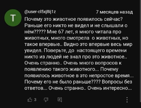 @user-cl5xj8ij1z 7 месяцев назад Почему это животное появилось сейчас? Раньше его никто не видел и не слышали о Мне 6/ лет, я много читала про животных, много смотрела о животных, но такое Видно это в