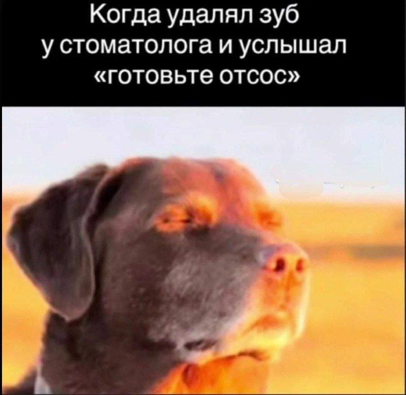 Когда удалял зуб у стоматолога и услышал «готовьте отсос»