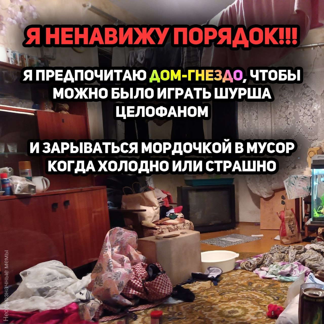 Я НЕНАВИЖУ я ПРЕДПОЧИТАЮ ДОМ-ГНЕЗДО, ЧТОБЫ МОЖНО БЫЛО ИГРАТЬ ЦЕЛОФАНОМ И ЗАРЫВАТЬСЯ МОРДОЧКОЙ В МУСОР. ОГДА ХОЛОДНО ИЛИ СТРАШНО 1% 4