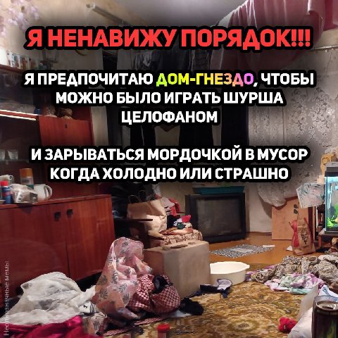 Я НЕНАВИЖУ я ПРЕДПОЧИТАЮ ДОМ-ГНЕЗДО, ЧТОБЫ МОЖНО БЫЛО ИГРАТЬ ЦЕЛОФАНОМ И ЗАРЫВАТЬСЯ МОРДОЧКОЙ В МУСОР. ОГДА ХОЛОДНО ИЛИ СТРАШНО 1% 4