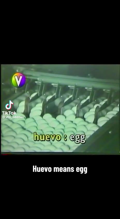 Huevo means egg