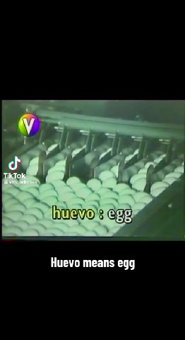 Huevo means egg