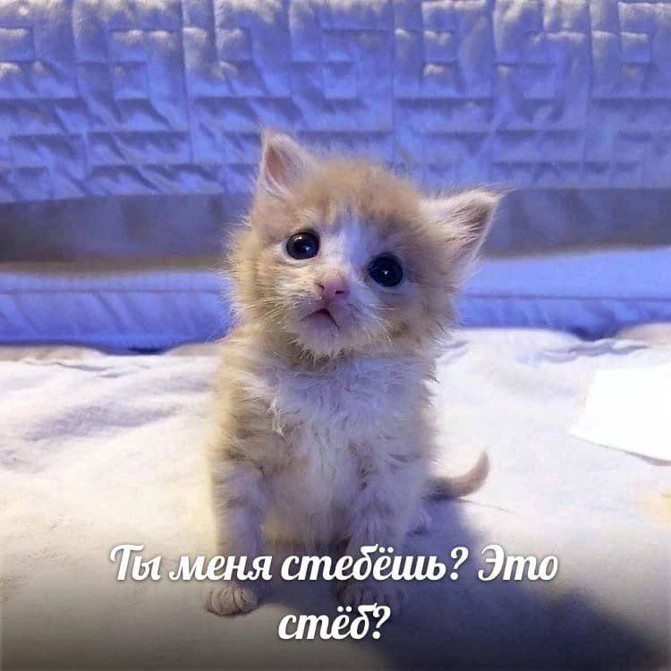 Меня Это