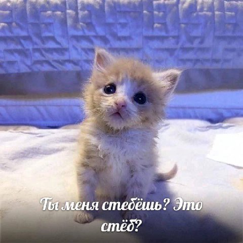 Меня Это