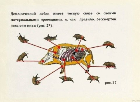 Демонический кабан имеет тесную связь материальными проекциями, и, как правило, бессмертен пока они живы (рис. 27). 4) рис. 27