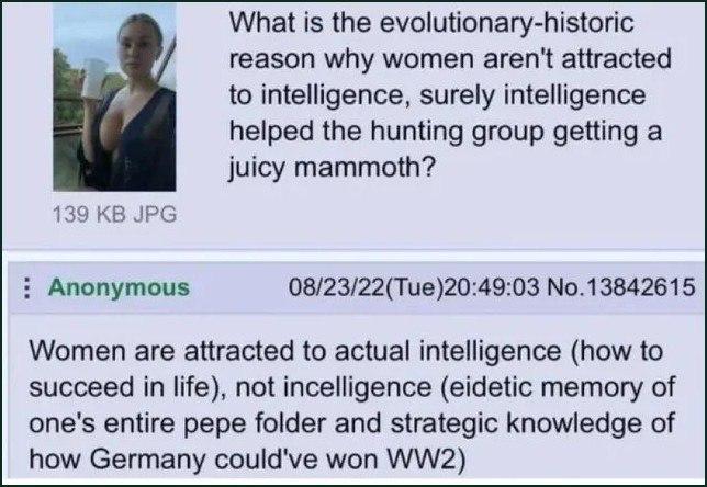 What is the evolutionary-historic reason why women aren't attracted to intelligence, surely intelligence helped the hunting group getting a juicy mammoth? 139 JPG Anonymous 08/23/22(Tue)20:49:03 No.13