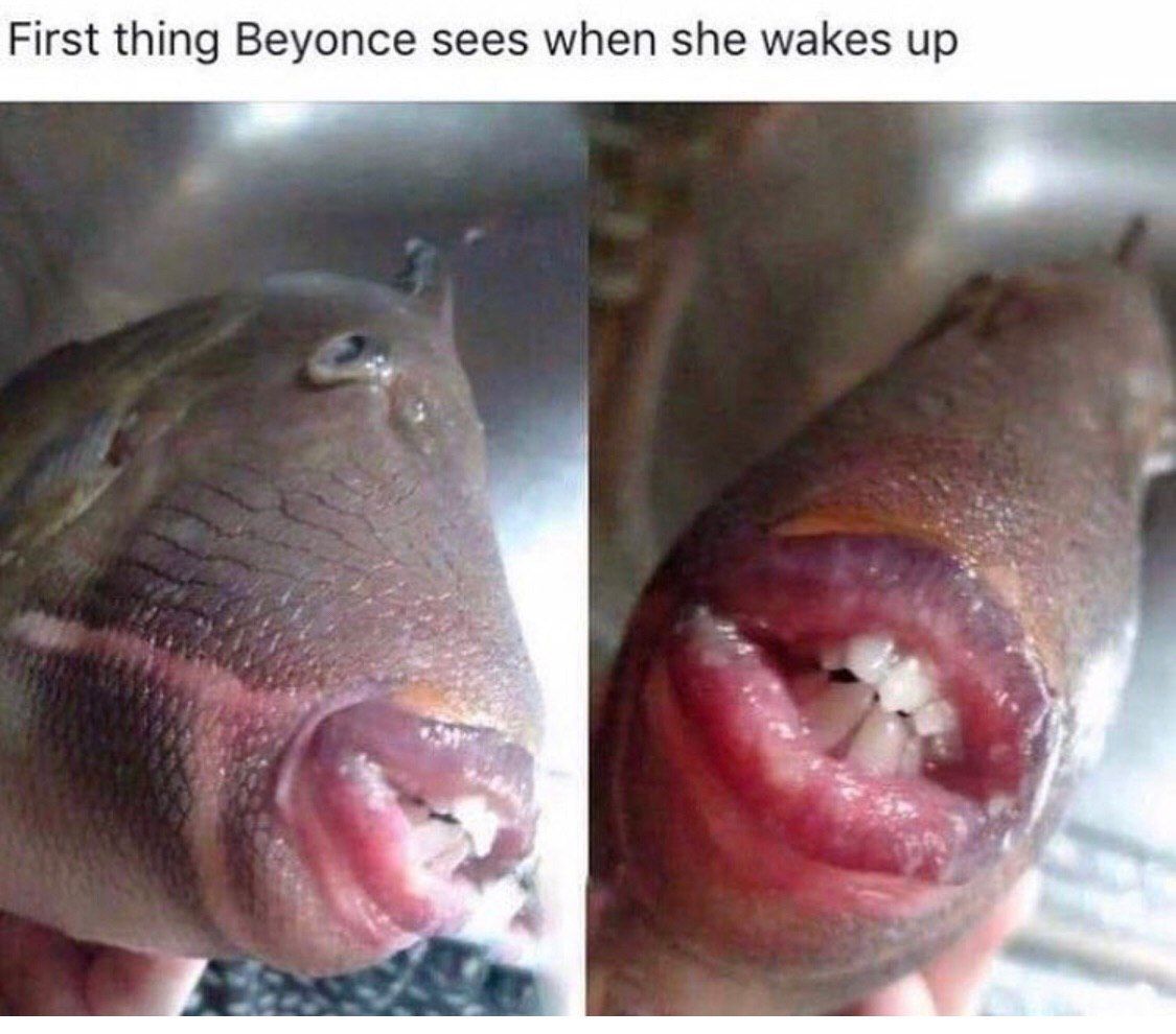 First thing Beyonce sees when she wakes up
