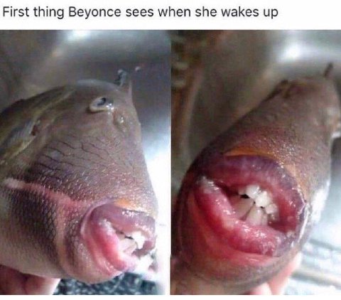First thing Beyonce sees when she wakes up