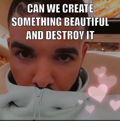 CAN WE CREATE SOMETHING BEAUTIFUL AND DESTROY IT