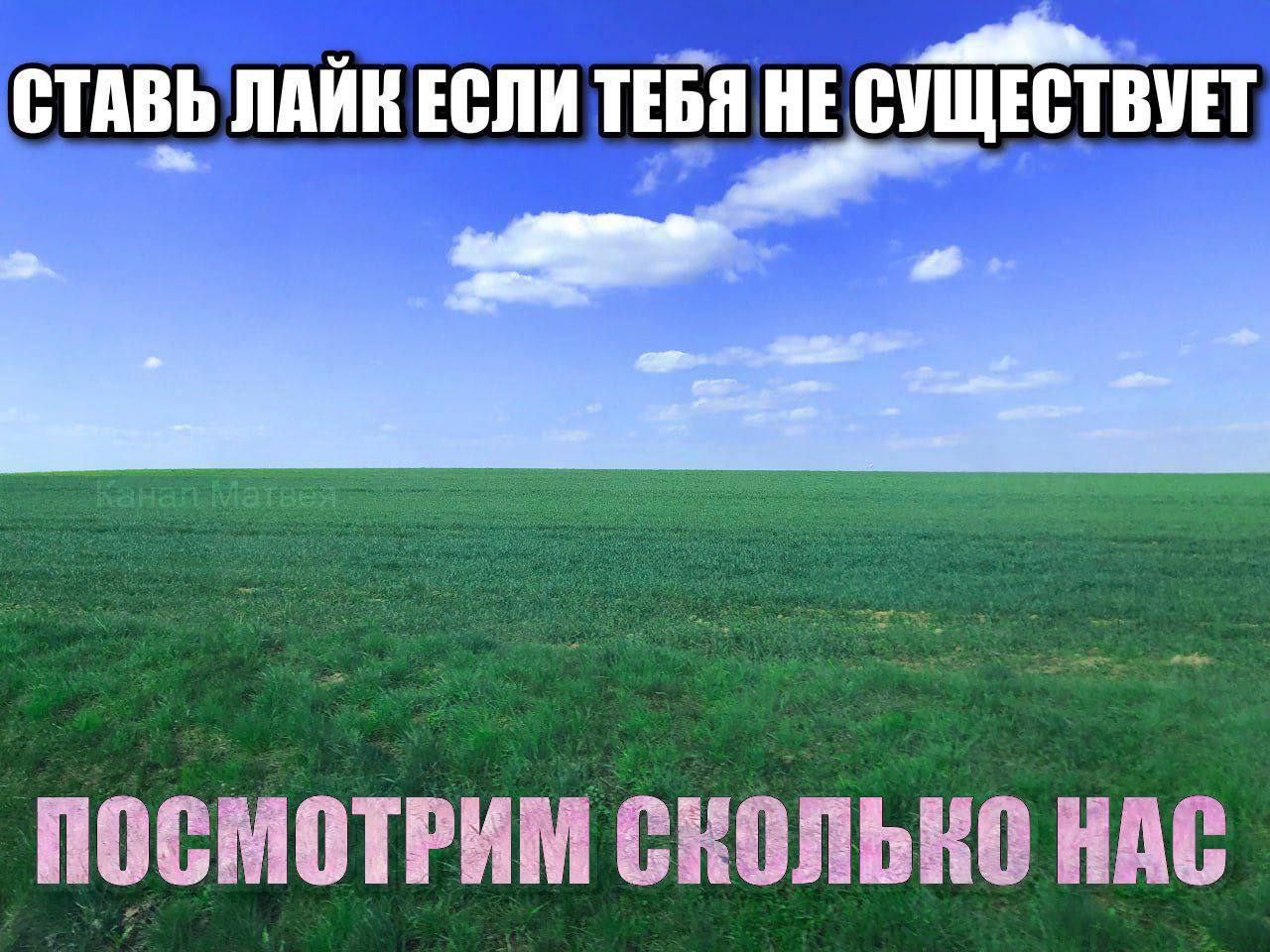 СТАВЬ ЛАИК ЕСЛИ ТЕБЯ HE СУЩЕСТВУЕТ ПОСМОТРИМ СКОЛЬКО НАС