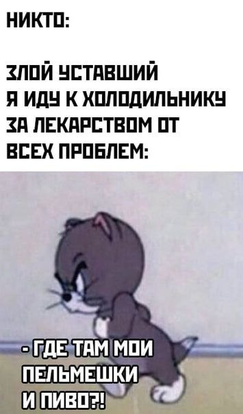 НИКТО: ЗЛОЙ УСТАВШИЙ Я ИДУ К ХОЛОДИЛЬНИКУ ЛЕКАРСТВОМ ВСЕХ ПРОБЛЕМ: ПЕЛЬМЕШКИ of