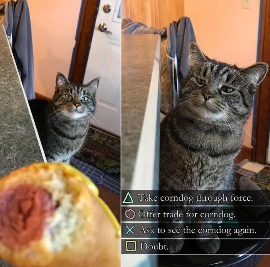 if 4 №4 К A Take corndog through force Offer trade for corndog. Ж Ask to see the corndog again Doubt.