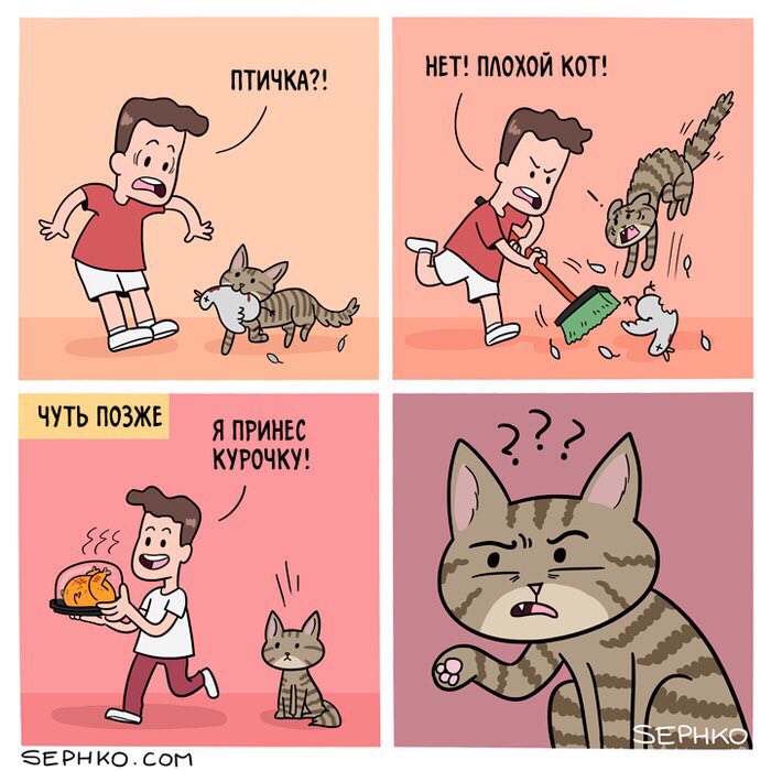 НЕТ! ПЛОХОЙ КОТ! ПТИЧКА?! у I ЧУТЬ ПОЗЖЕ Я ПРИНЕС КУРОЧКУ! 222 СОМ
