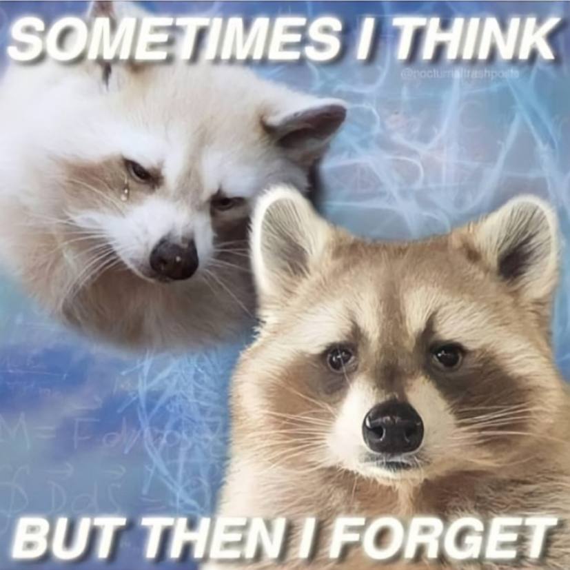 METIMES THINK BUT FORGET