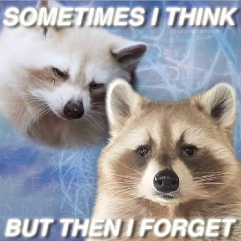 METIMES THINK BUT FORGET