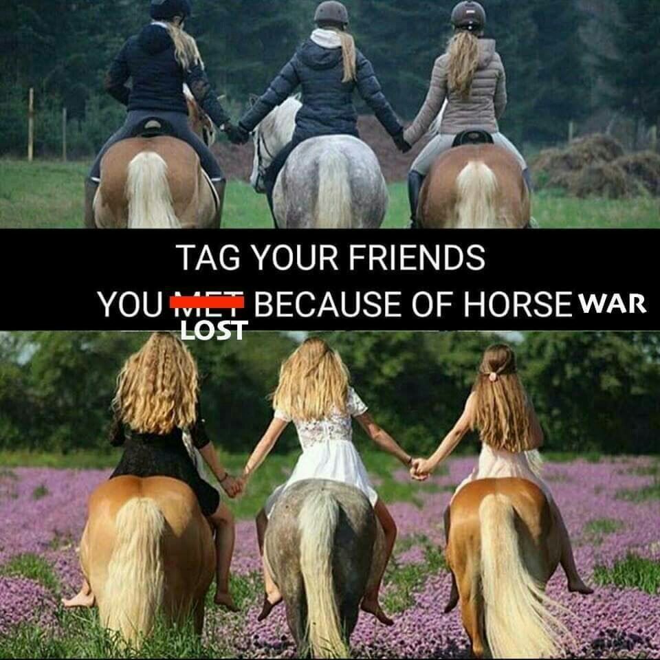 TAG YOUR FRIENDS YOU BECAUSE OF HORSE WAR i