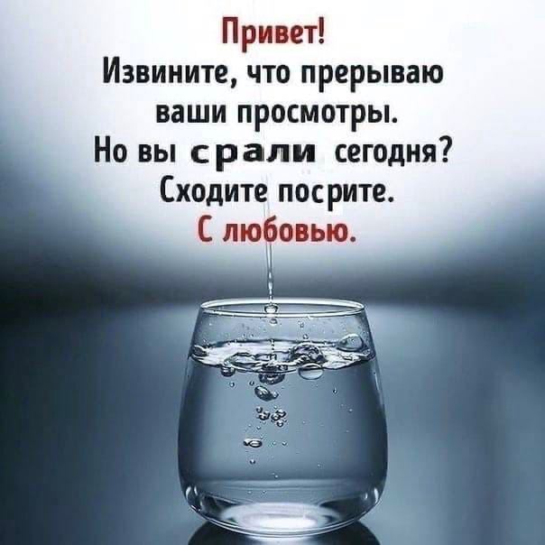 Привет! Извините, что прерываю ваши просмотры. вы срали сегодня? Сходите посрите. С любовью.