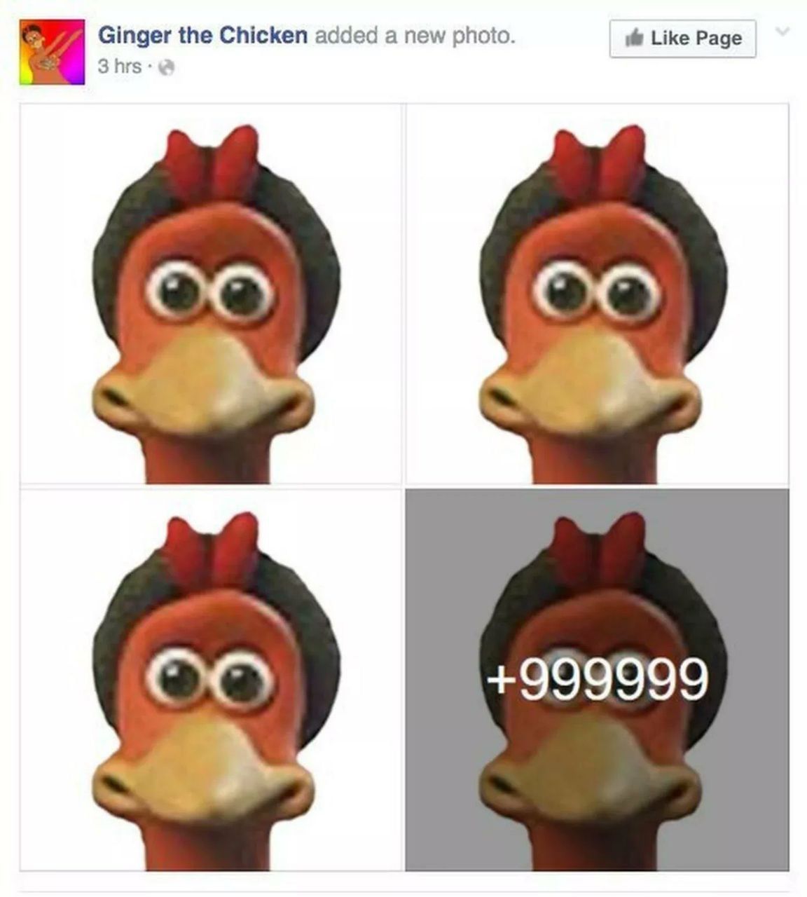 Ginger the Chicken added a new photo. Like Page +999999 у
