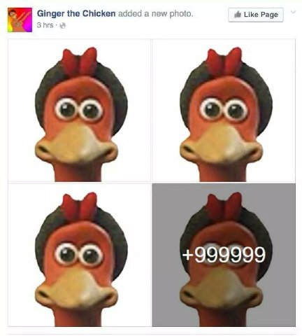 Ginger the Chicken added a new photo. Like Page +999999 у