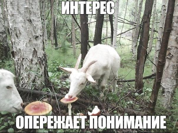 и PEG и 4 3 on ОНИМАНИЕ 7