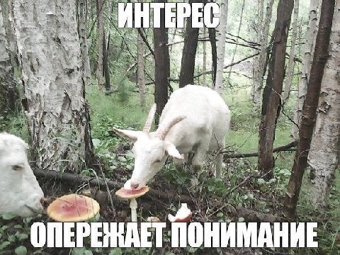и PEG и 4 3 on ОНИМАНИЕ 7
