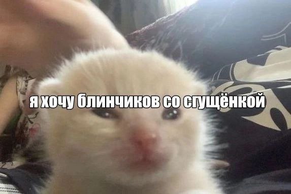 я хочу блинчиков
