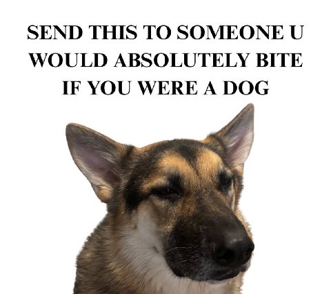 SEND THIS ТО SOMEONE WOULD ABSOLUTELY BITE IF YOU WERE A DOG
