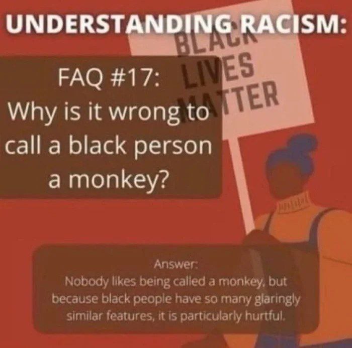 UNDERSTANDING RACISM: FAQ #17: Why is it wrong to call a black person a monkey? Answer Nobody likes being calied a monkey, but because black have so many glaringly similar features, it is particularly