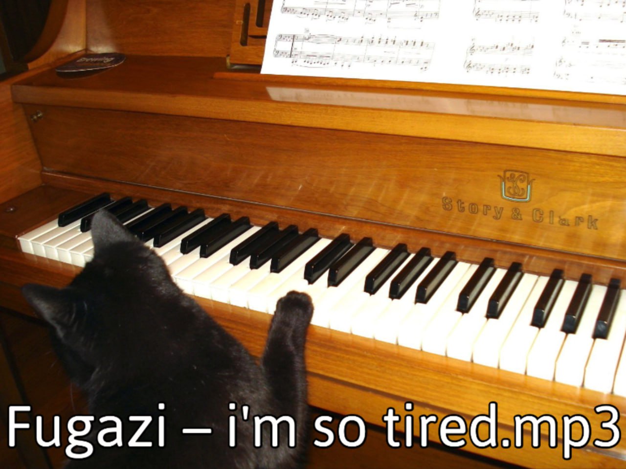 Fugazi so
