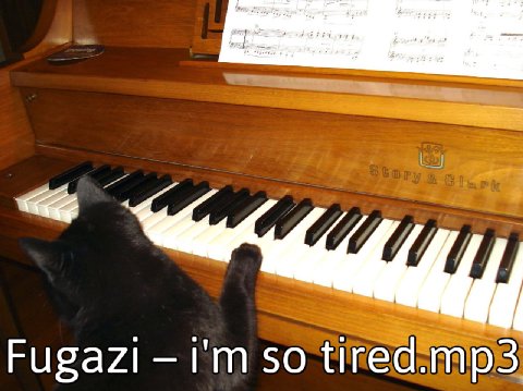 Fugazi so