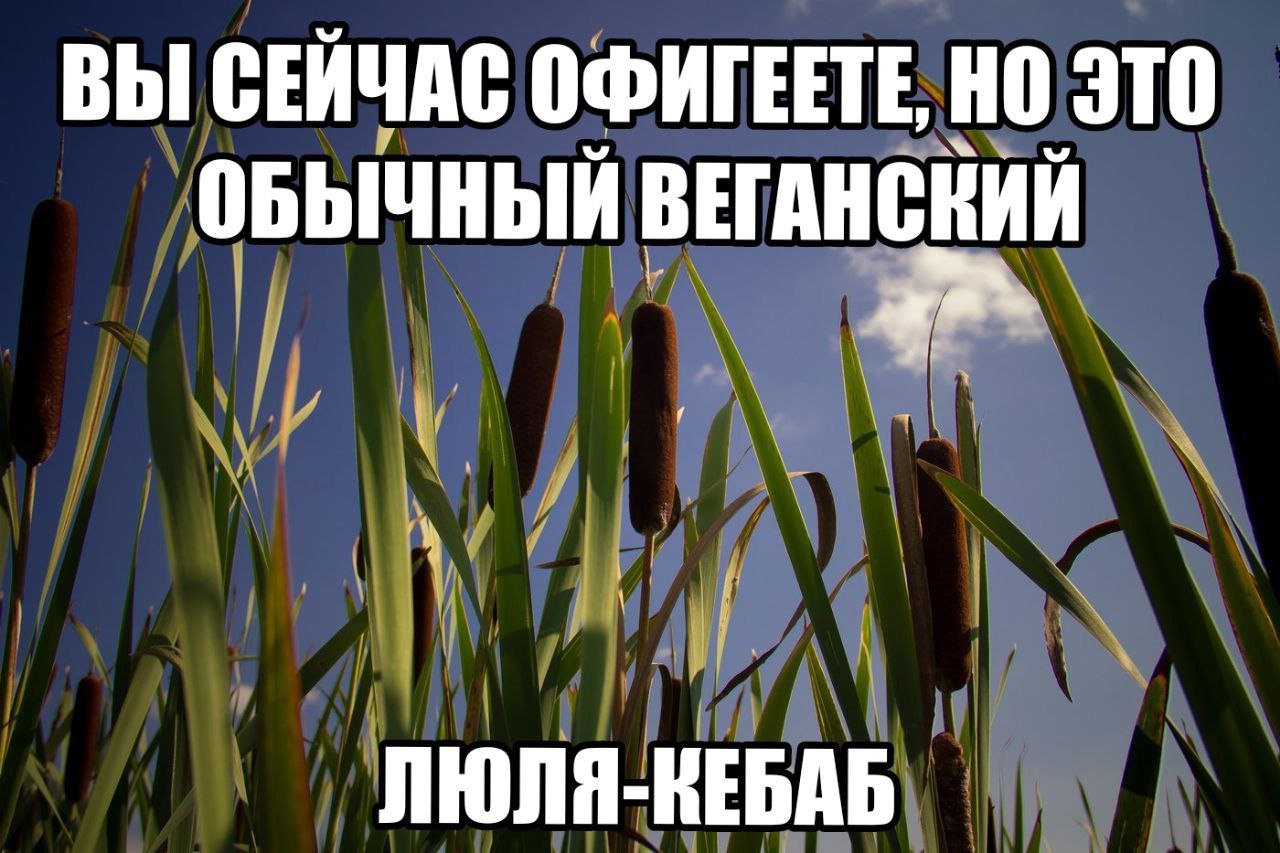 ВЫ СЕЙЧАС ОФИГЕЕТЕ, НО ЭТО ОБЫЧНЫЙ ВЕГАНСКИЙ ЛЮЛЯ-ВЕБАБ