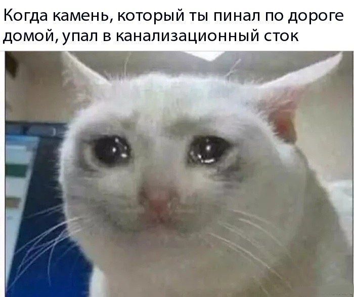 Когда камень, который ты пинал по дороге домой, упал В канализационный СТОК