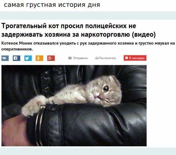самая грустная история дня Трогательный кот просил полицейских не задерживать хозяина за наркоторговлю (видео) Котенок Моник отказывался уходить с рук задержанного хозяина и грустно мяукал на оператив