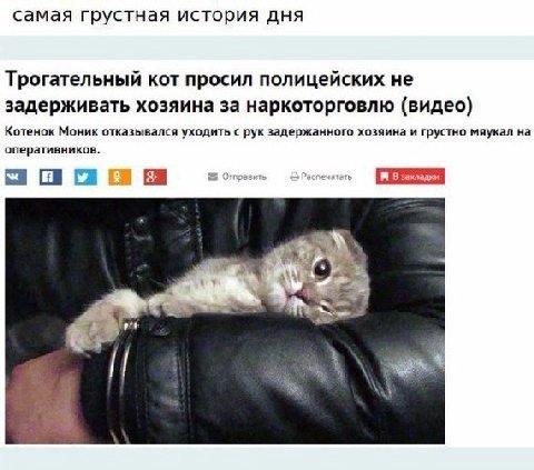 самая грустная история дня Трогательный кот просил полицейских не задерживать хозяина за наркоторговлю (видео) Котенок Моник отказывался уходить с рук задержанного хозяина и грустно мяукал на оператив