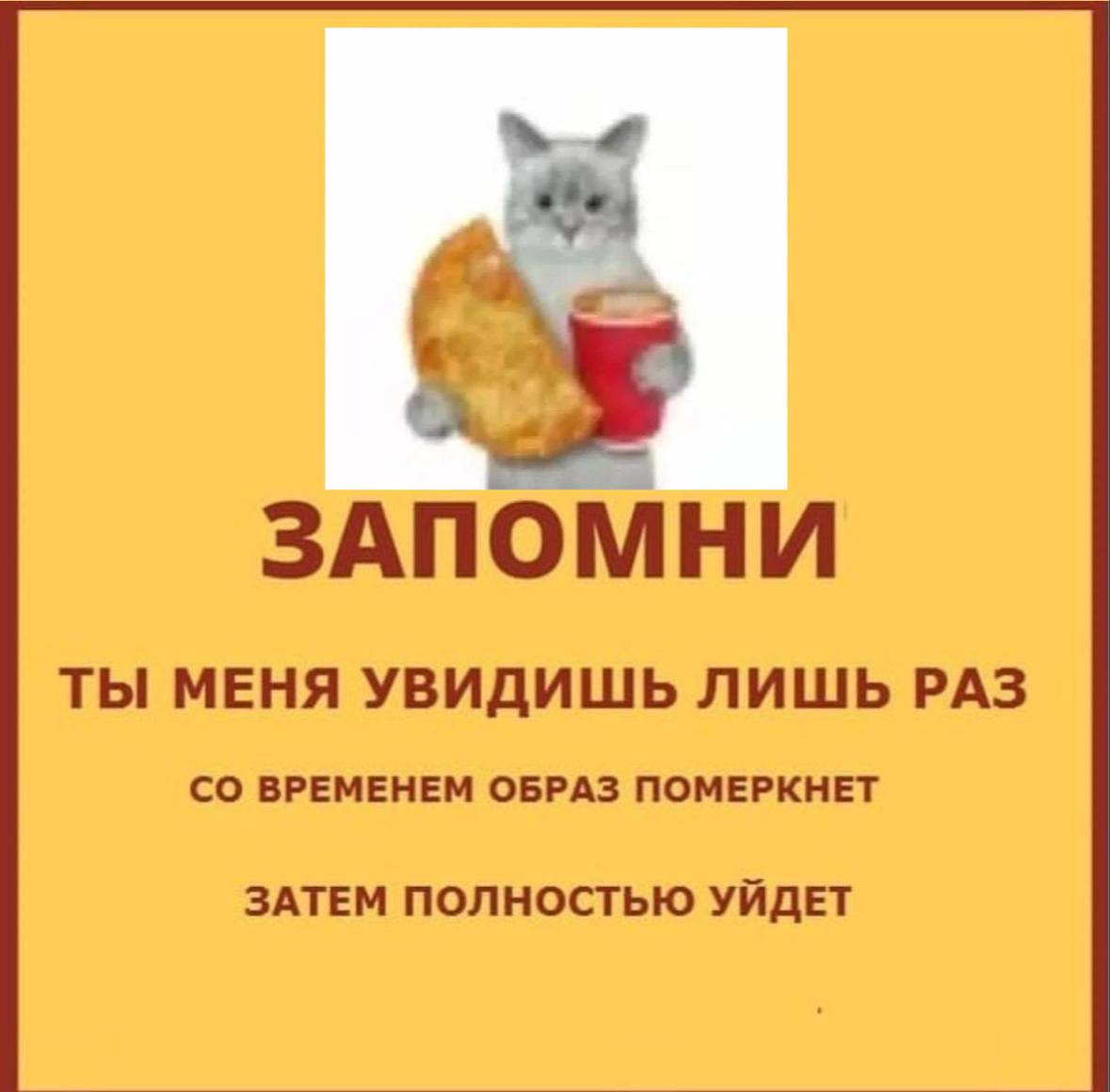 ЗАПОМНИ ТЫ МЕНЯ УВИДИШЬ ЛИШЬ РАЗ ВРЕМЕНЕМ ОБРАЗ ПОМЕРКНЕТ ЗАТЕМ ПОЛНОСТЬЮ УЙДЕТ