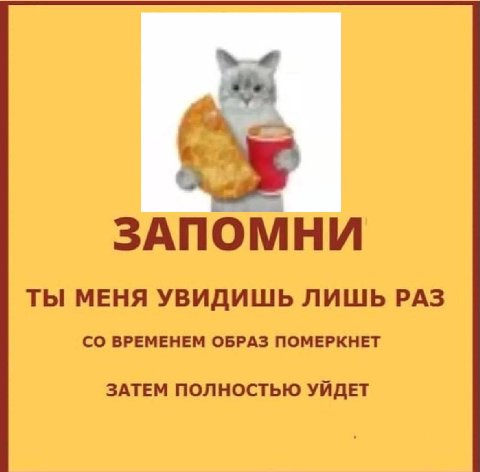 ЗАПОМНИ ТЫ МЕНЯ УВИДИШЬ ЛИШЬ РАЗ ВРЕМЕНЕМ ОБРАЗ ПОМЕРКНЕТ ЗАТЕМ ПОЛНОСТЬЮ УЙДЕТ